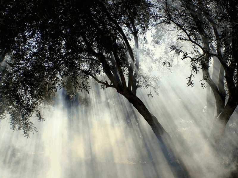 An important Message to Our Valued Association Members&nbsp;11-22-25