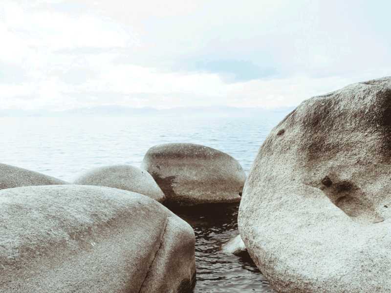 FORMAL By-law DISPUTE